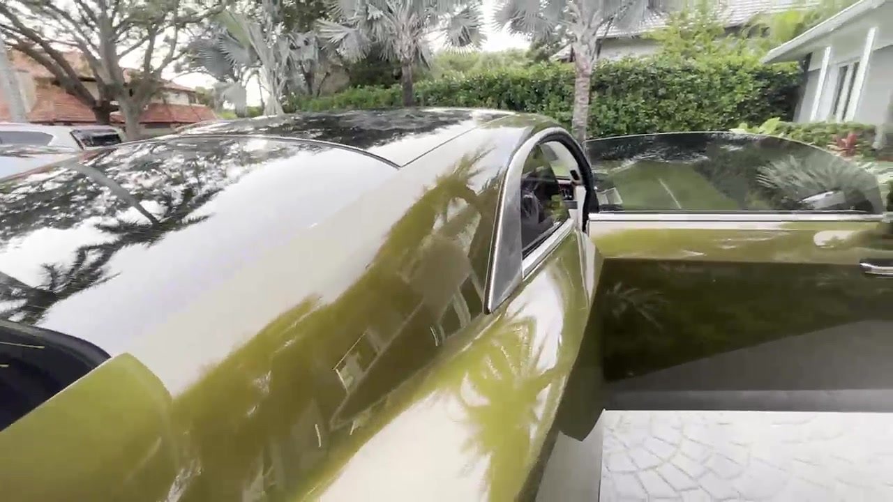 Tinted side glass reflecting palm trees